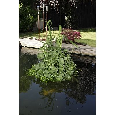 Schwimmende runde Pflanzeninsel