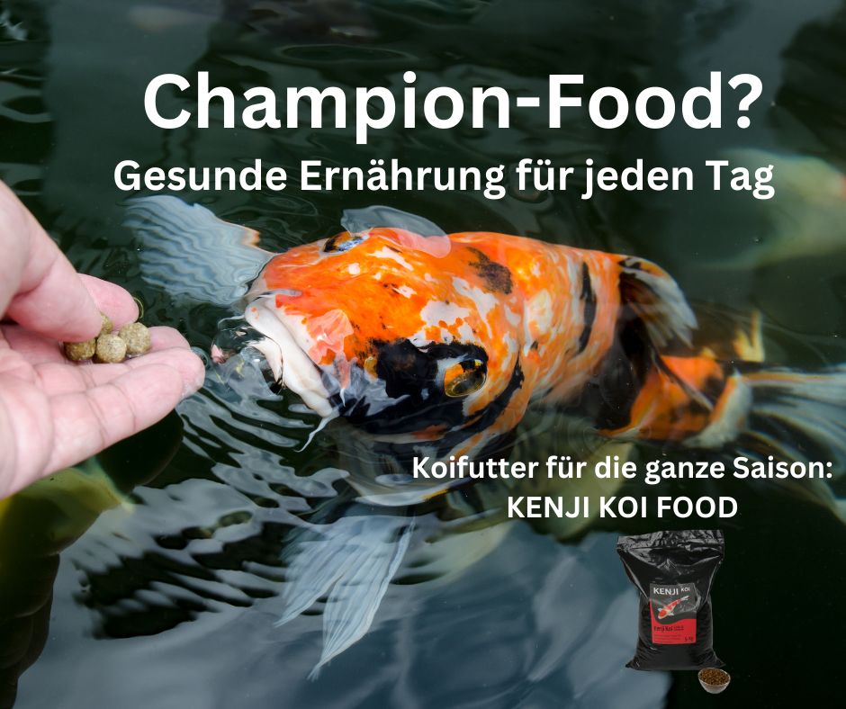 KENJI KOI Kalte Tage Paket - Season &amp; Winter Balance
