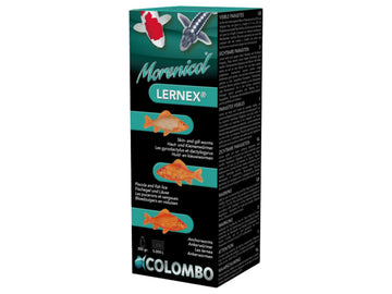 Colombo Lernex