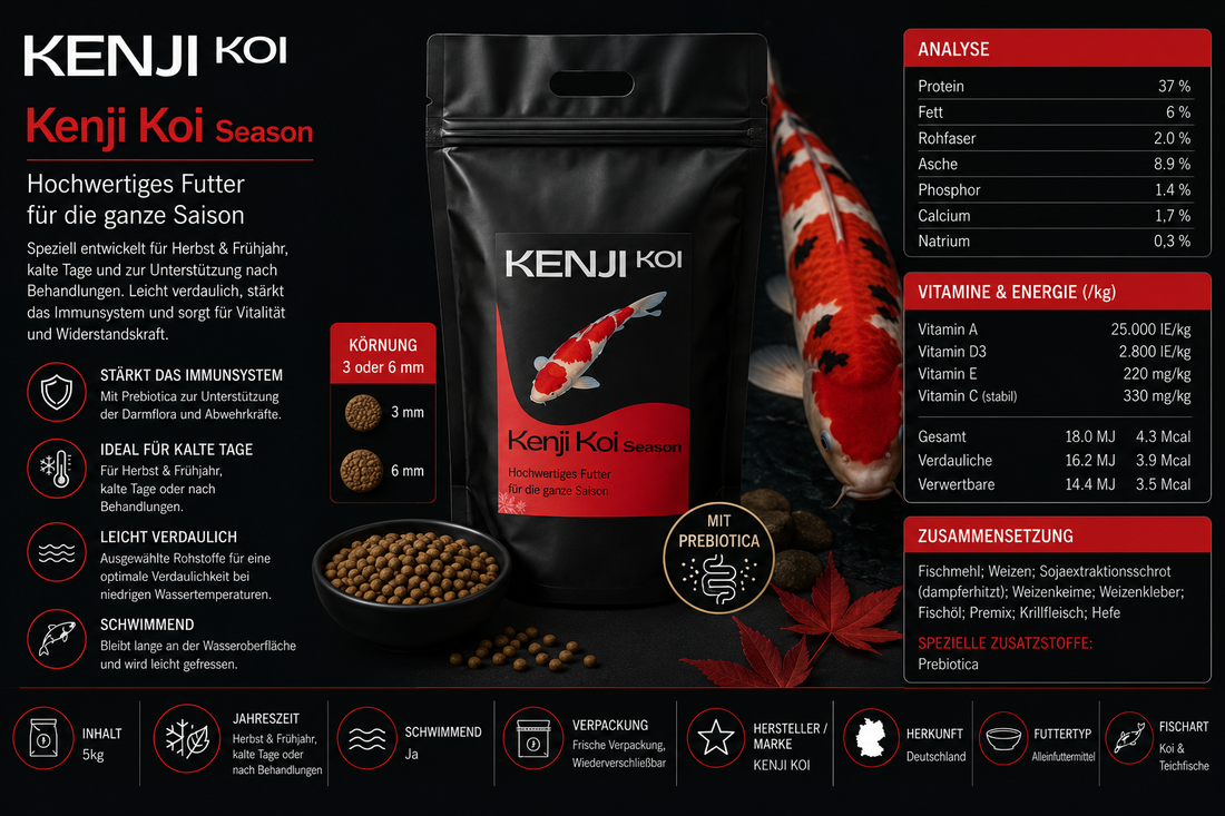 KENJI KOI Season 5kg
