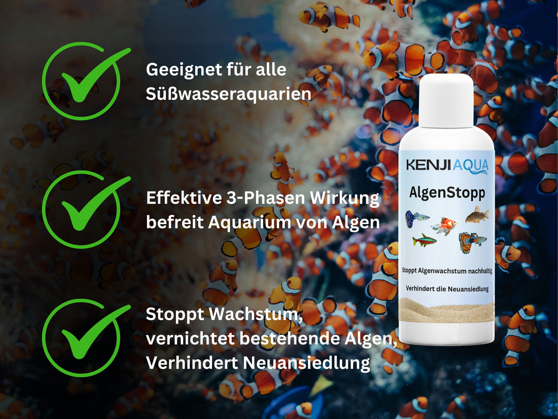 KENJI AQUA AlgenStopp