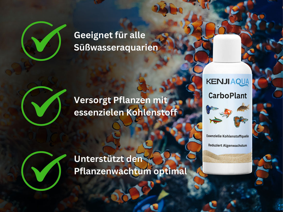 KENJI AQUA CarboPlant
