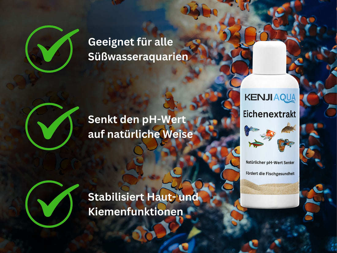 KENJI AQUA Eichenextrakt