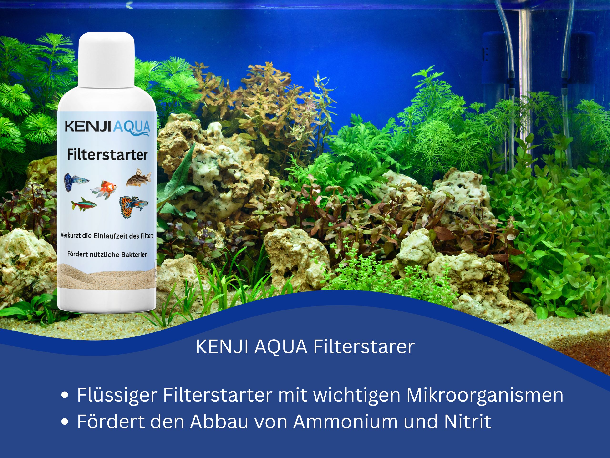 KENJI AQUA FilterStarter