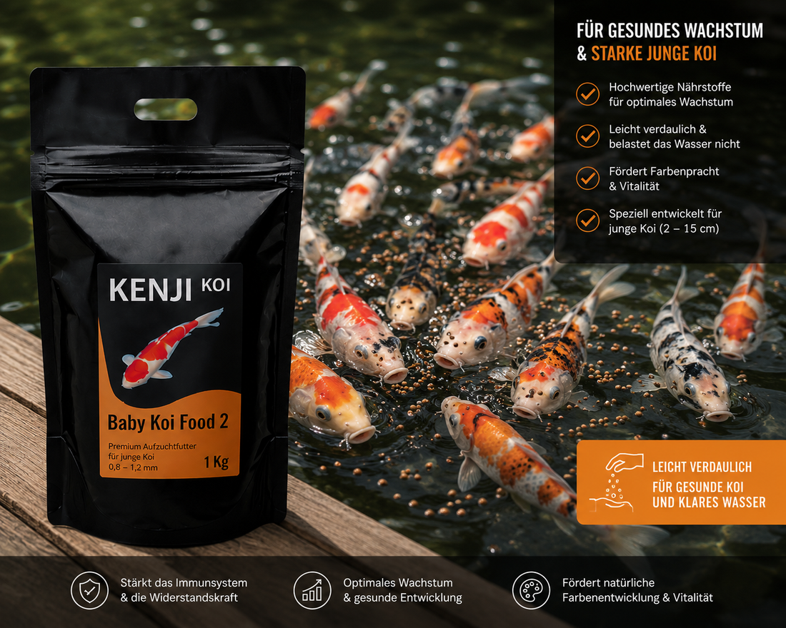KENJI KOI Baby Koi Food 2 - 1 KG