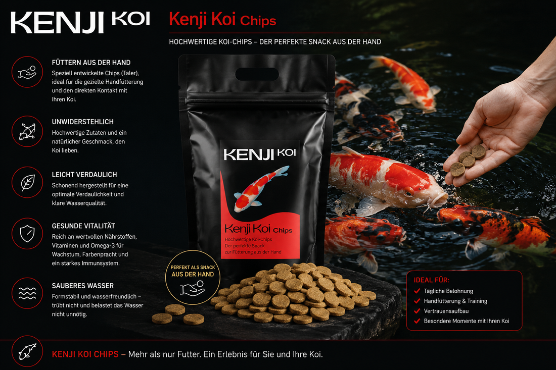 KENJI KOI Snack - Chips