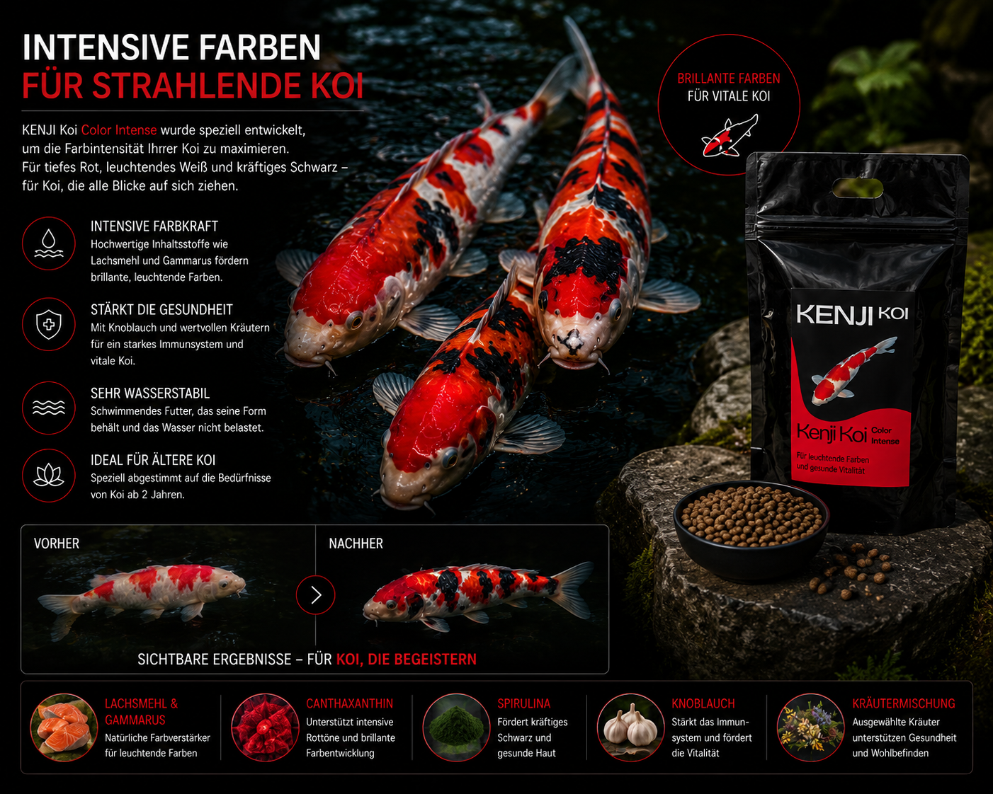 KENJI KOI Color Intense 5kg