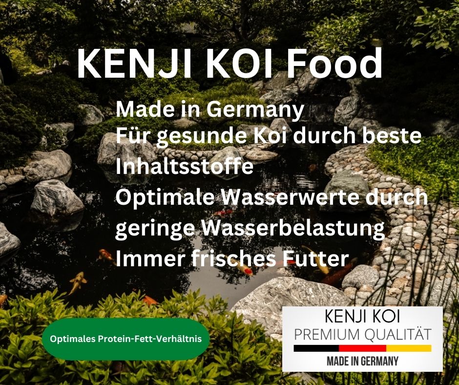 KENJI KOI Season 5kg