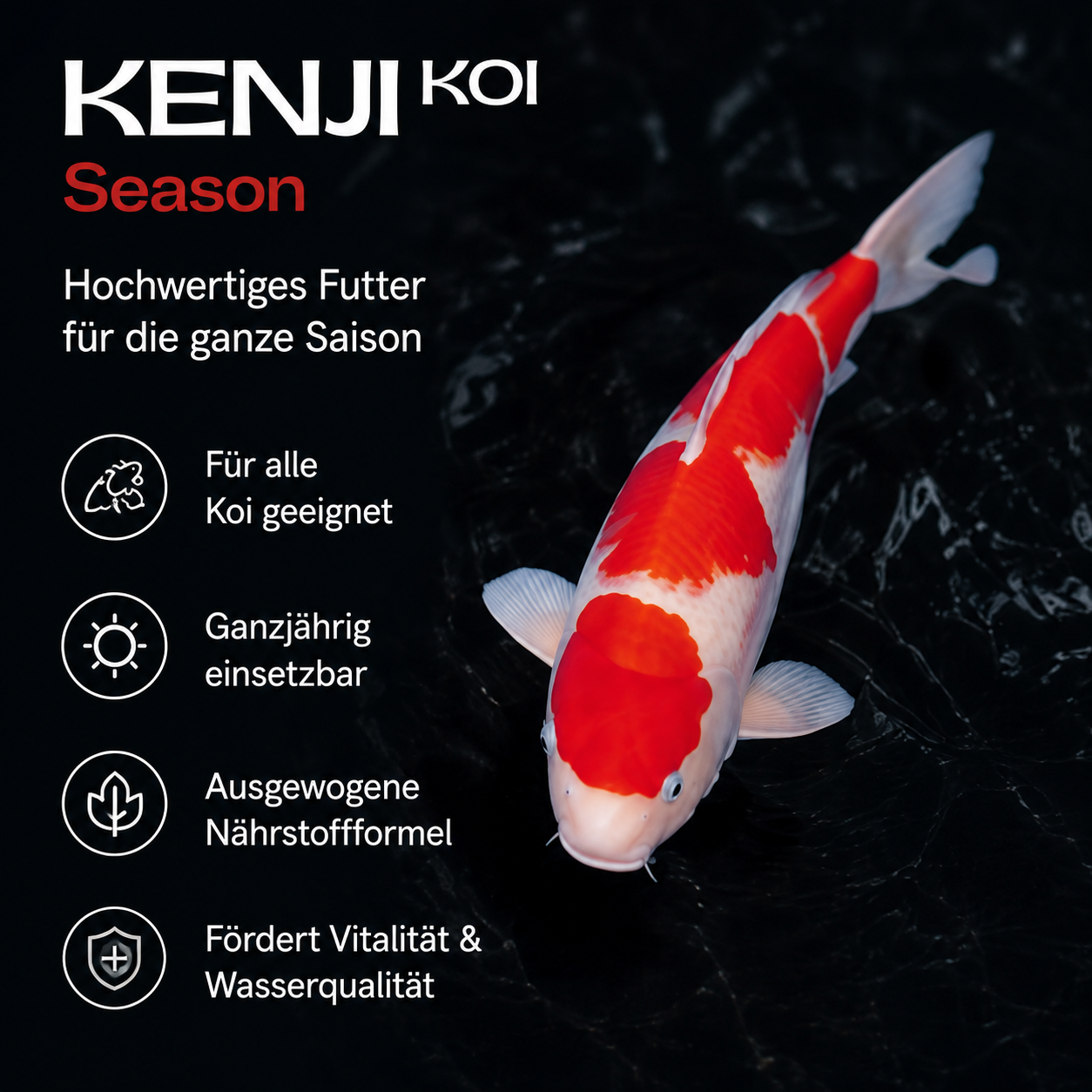 KENJI KOI Season 5kg