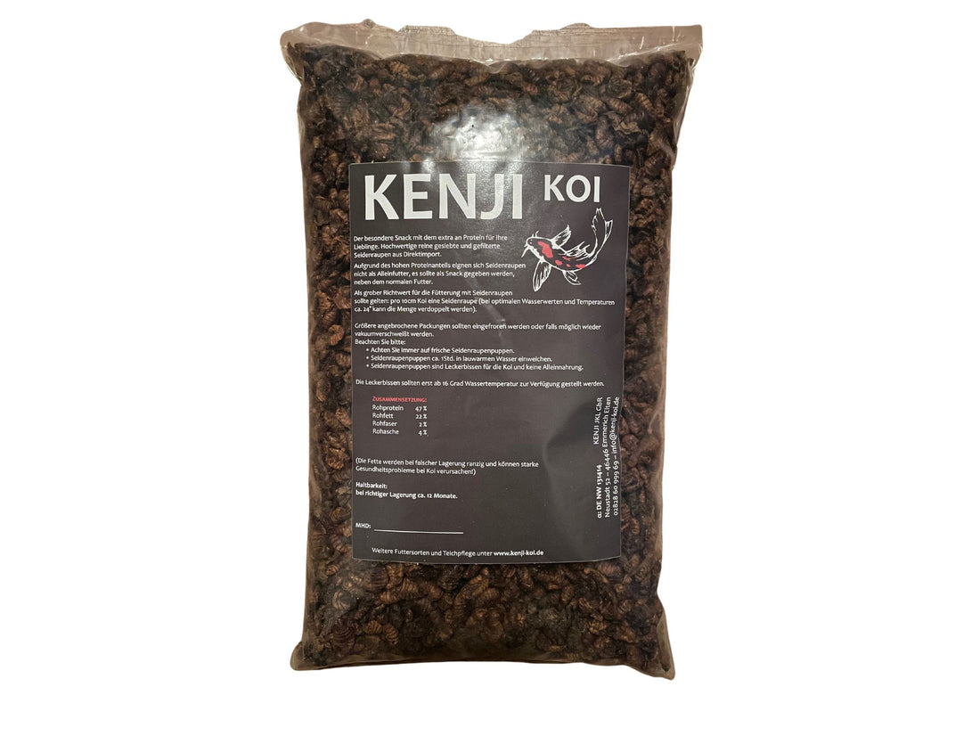 KENJI KOI Snack - Seidenraupen