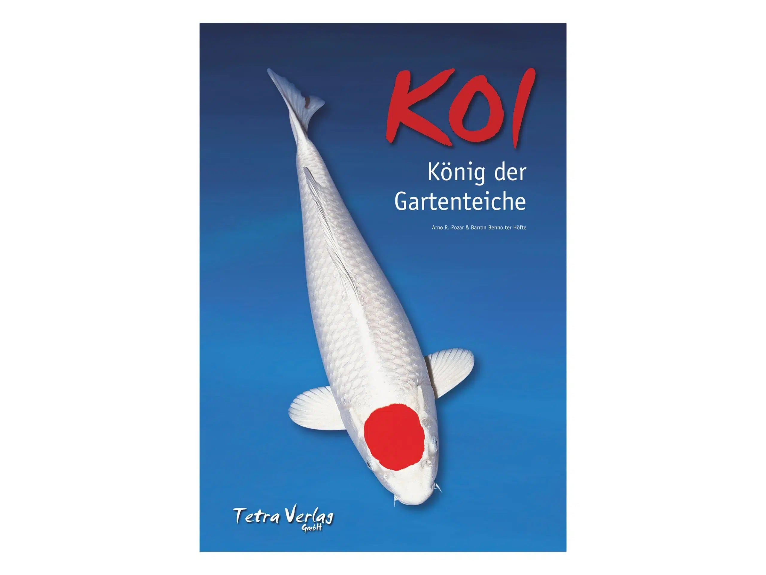 Koi - König der Gartenteiche