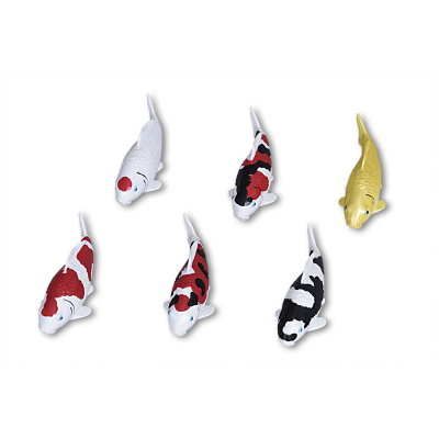 Koi Magnet