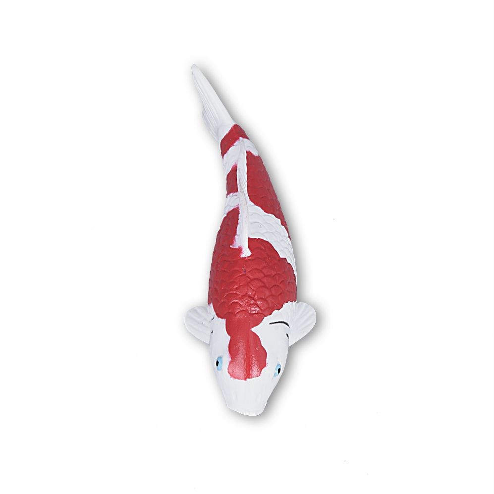 Koi Magnet