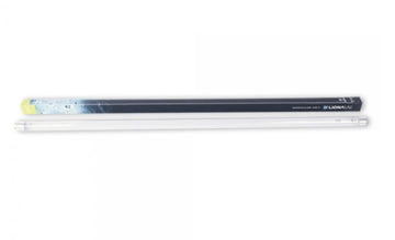 LIONA UVC TL Lampe