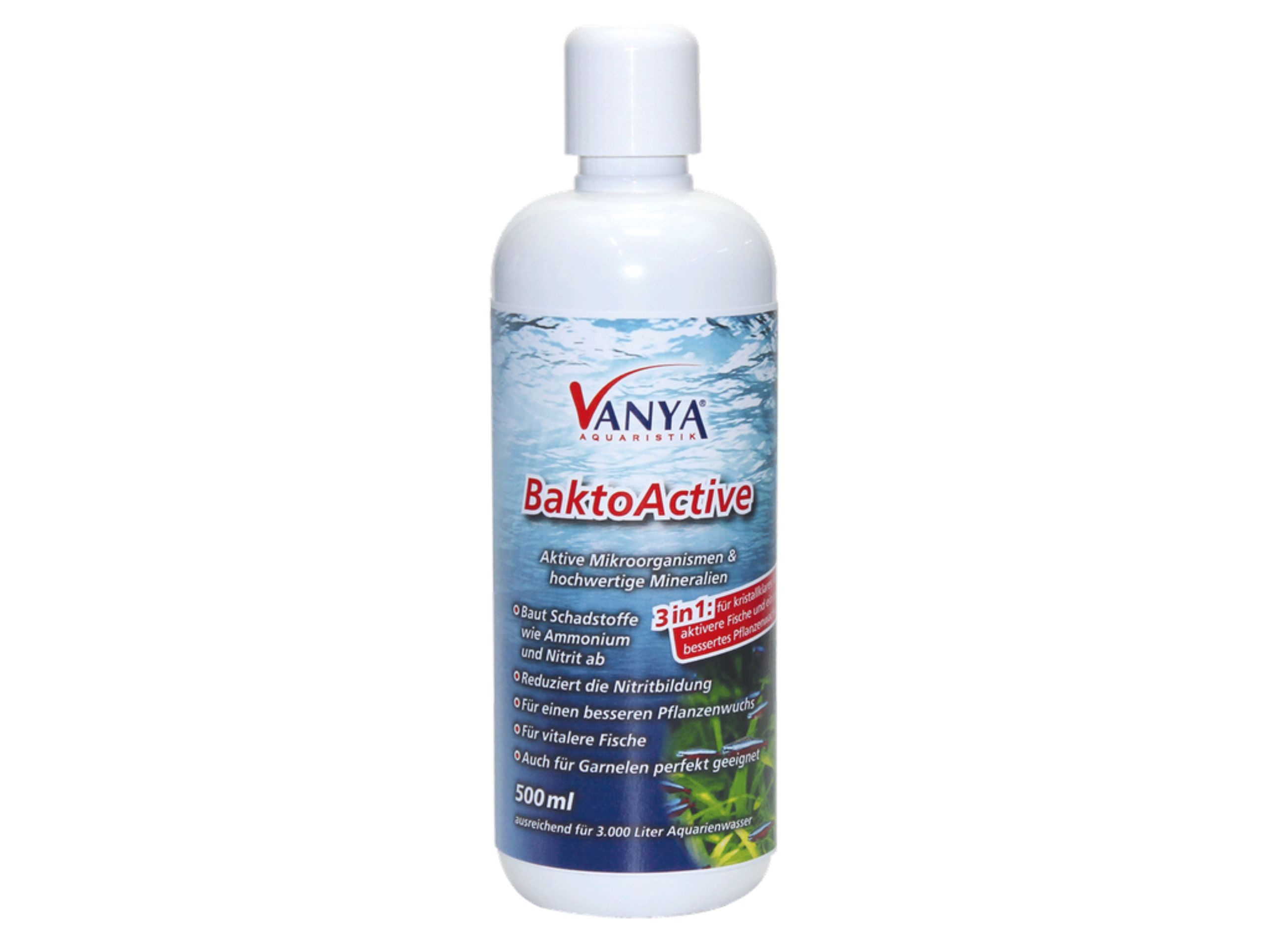 Vanya BaktoActive