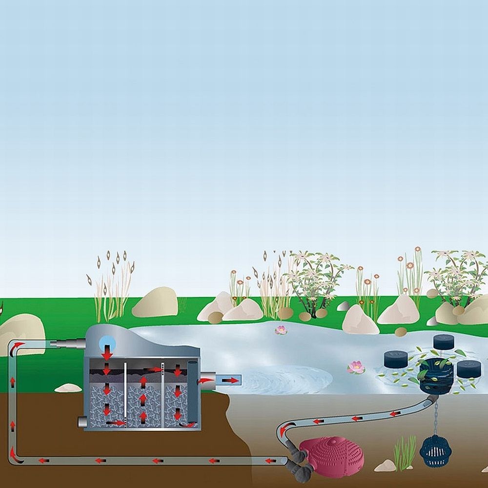 FIAP Bio Active 10.000 inkl. 11 Watt UVC Gerät